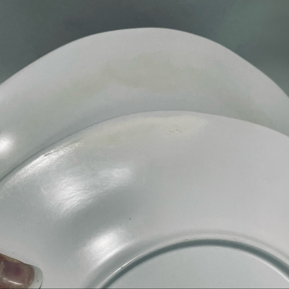 Poinsettia cardinal Christmas melamine dinner plates set of 4 - Picture 7 of 10